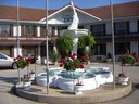 Fountains & Foliage